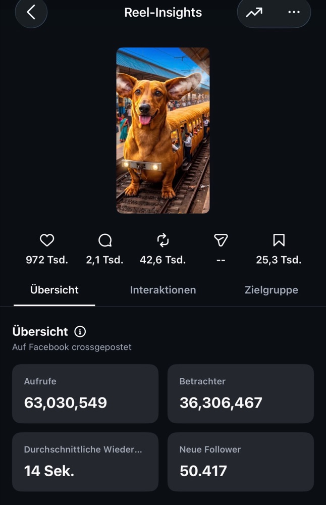 Reel-Insights mit über 63 Millionen Aufrufen
